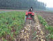 Two Rows Small Agricultural Machinery Small Scale Farming Equipment supplier
